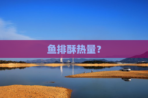 鱼排酥热量？