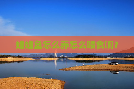娃娃鱼怎么养怎么喂食啊？