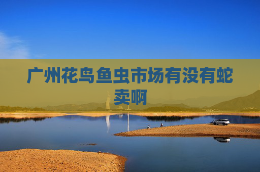 广州花鸟鱼虫市场有没有蛇卖啊