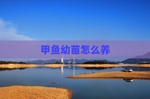 甲鱼幼苗怎么养