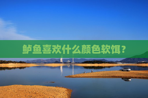 鲈鱼喜欢什么颜色软饵？
