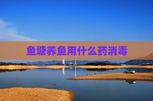 鱼塘养鱼用什么药消毒 鱼塘养鱼用什么药消毒