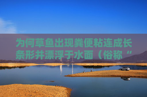 为何草鱼出现粪便粘连成长条形并漂浮于水面（俗称“浮粪” ）的现象