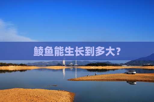 鲮鱼能生长到多大？