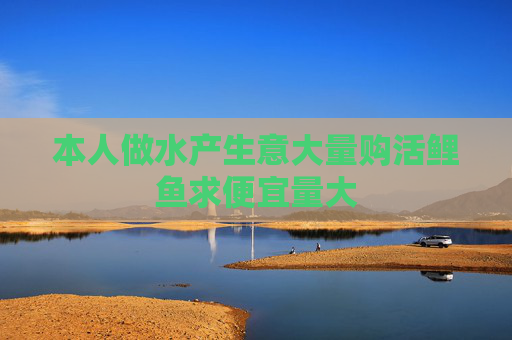 本人做水产生意大量购活鲤鱼求便宜量大