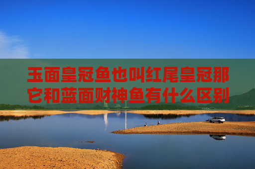 玉面皇冠鱼也叫红尾皇冠那它和蓝面财神鱼有什么区别？