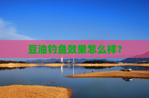 豆油钓鱼效果怎么样？