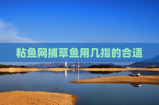 粘鱼网捕草鱼用几指的合适