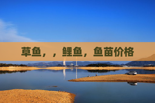 草鱼，，鲤鱼，鱼苗价格