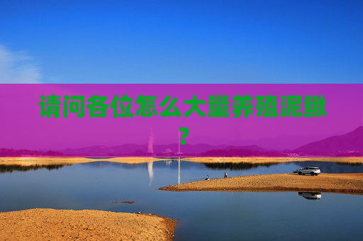 请问各位怎么大量养殖泥鳅？