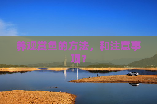 养观赏鱼的方法，和注意事项？