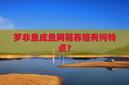 罗非鱼成鱼网箱养殖有何特点？