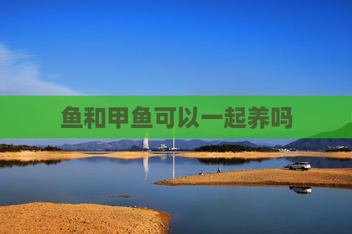 鱼和甲鱼可以一起养吗 鱼和甲鱼可以一起养吗