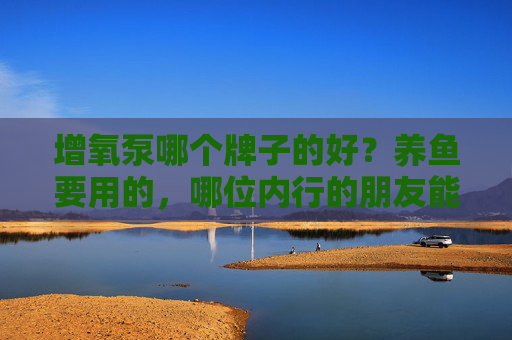 增氧泵哪个牌子的好？养鱼要用的，哪位内行的朋友能帮忙一下