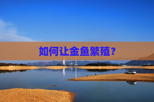 如何让金鱼繁殖？