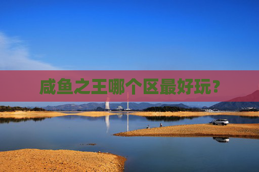 咸鱼之王哪个区最好玩？