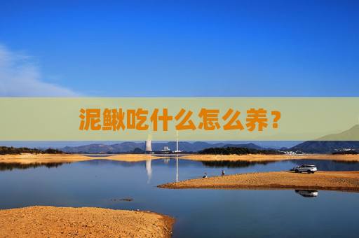 泥鳅吃什么怎么养？