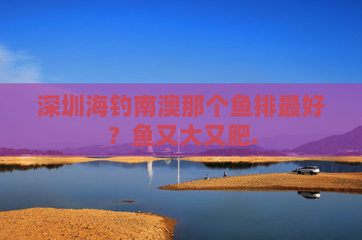 深圳海钓南澳那个鱼排最好？鱼又大又肥.