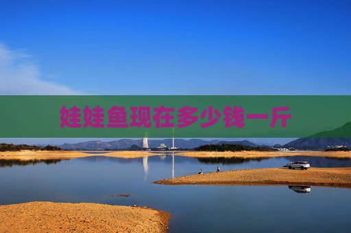娃娃鱼现在多少钱一斤