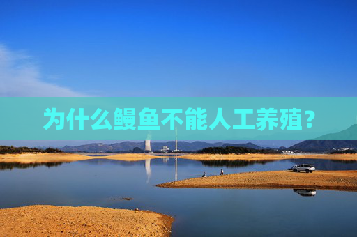 为什么鳗鱼不能人工养殖？