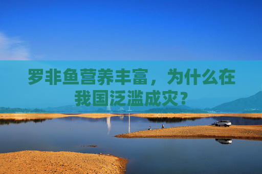 罗非鱼营养丰富，为什么在我国泛滥成灾？