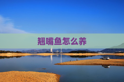 翘嘴鱼怎么养 翘嘴鱼怎么养