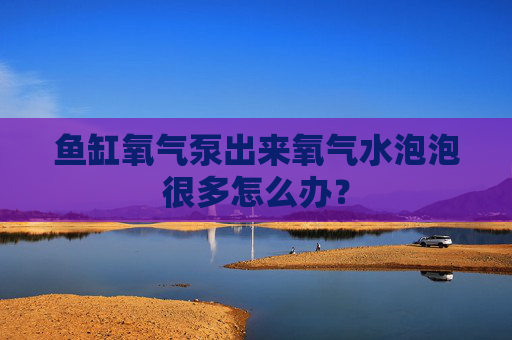 鱼缸氧气泵出来氧气水泡泡很多怎么办？