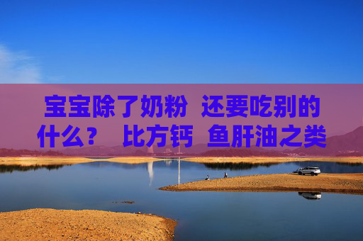 宝宝除了奶粉  还要吃别的什么？  比方钙  鱼肝油之类的？