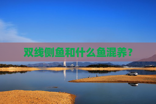 双线侧鱼和什么鱼混养？