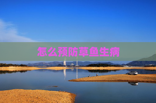 怎么预防草鱼生病