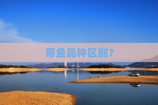 带鱼品种区别?