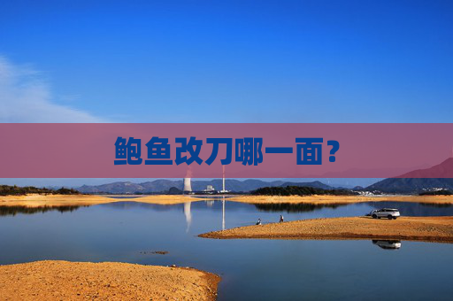 鲍鱼改刀哪一面？
