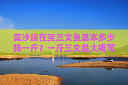 黄沙现在买三文鱼基本多少钱一斤？一斤三文鱼大概可以切多少片？谢谢