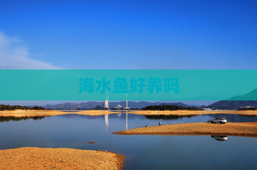 海水鱼好养吗