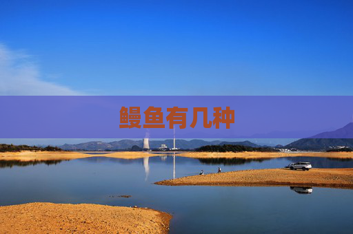 鳗鱼有几种