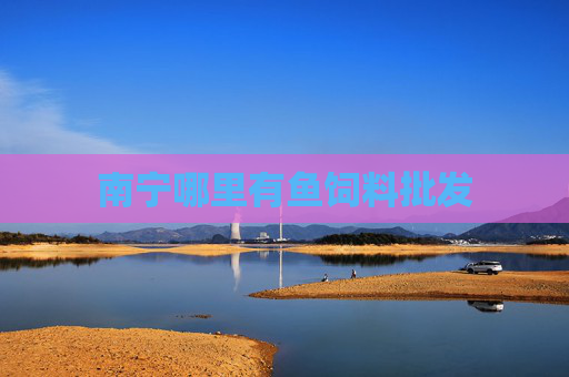 南宁哪里有鱼饲料批发