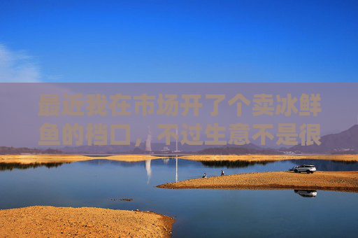 最近我在市场开了个卖冰鲜鱼的档口，不过生意不是很好。市场很旺的，怎么才可以把生意做得好，跪求意见。