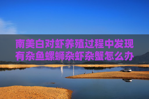南美白对虾养殖过程中发现有杂鱼螺蛳杂虾杂蟹怎么办