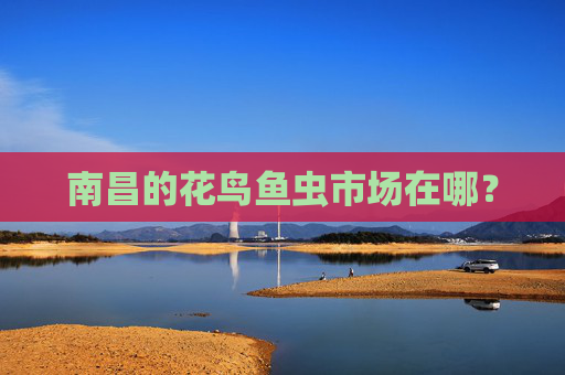 南昌的花鸟鱼虫市场在哪?