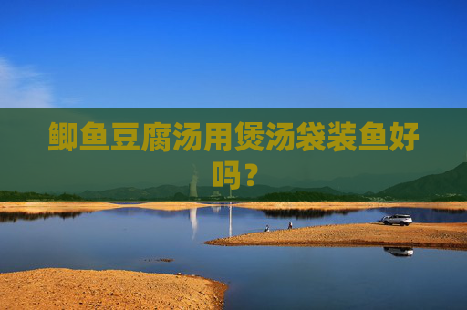 鲫鱼豆腐汤用煲汤袋装鱼好吗？
