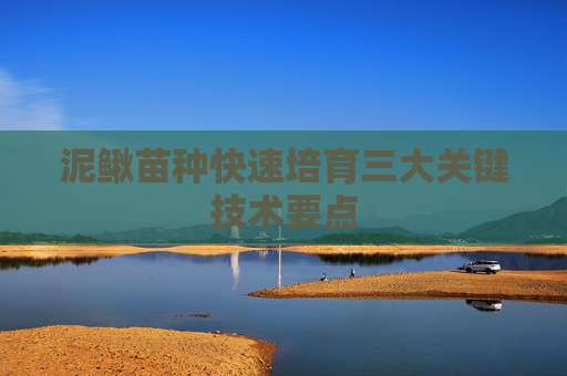 泥鳅苗种快速培育三大关键技术要点