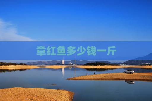 章红鱼多少钱一斤