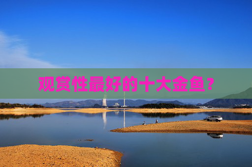 观赏性最好的十大金鱼？