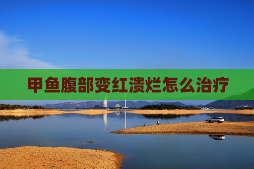 甲鱼腹部变红溃烂怎么治疗