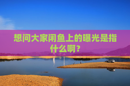 想问大家闲鱼上的曝光是指什么啊？