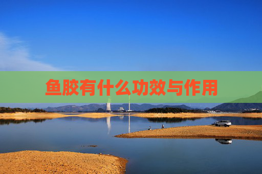 鱼胶有什么功效与作用