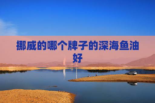 挪威的哪个牌子的深海鱼油好