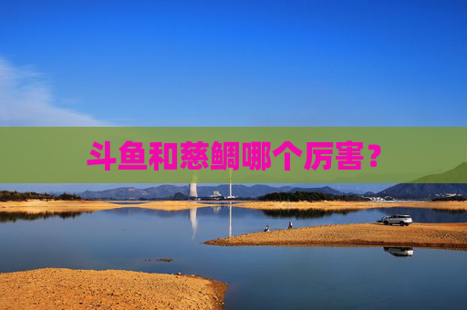 斗鱼和慈鲷哪个厉害？