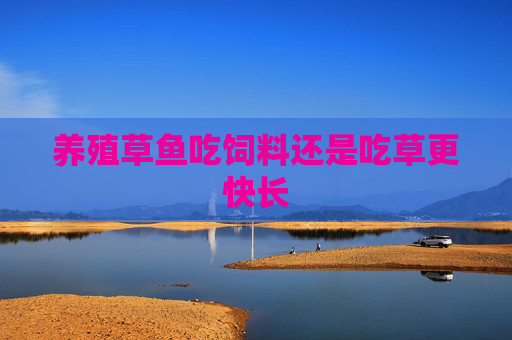 养殖草鱼吃饲料还是吃草更快长
