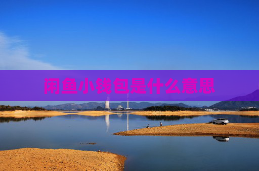 闲鱼小钱包是什么意思